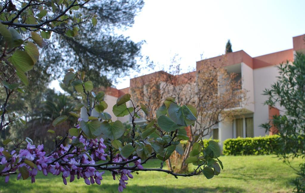 Апартаменти Le Domaine Des Oliviers Сен-Сір-сюр-Мер Екстер'єр фото